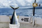 Salty Crew mens Soft - Image 4