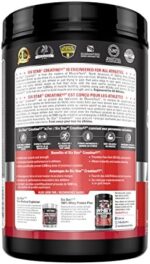 Six Star 100% Whey Protein Plus + Creatine X3 Powder (Fruit ... - Image 6