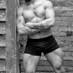 Alivegear Men's Bodybuilding Golds Gym Shorts 3" Inseam Cott... - Image 6