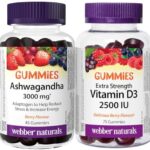 Webber Naturals Ashwagandha Gummy, 45 Berry Flavoured Gummie...